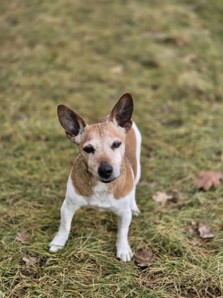 Bild von Shiela