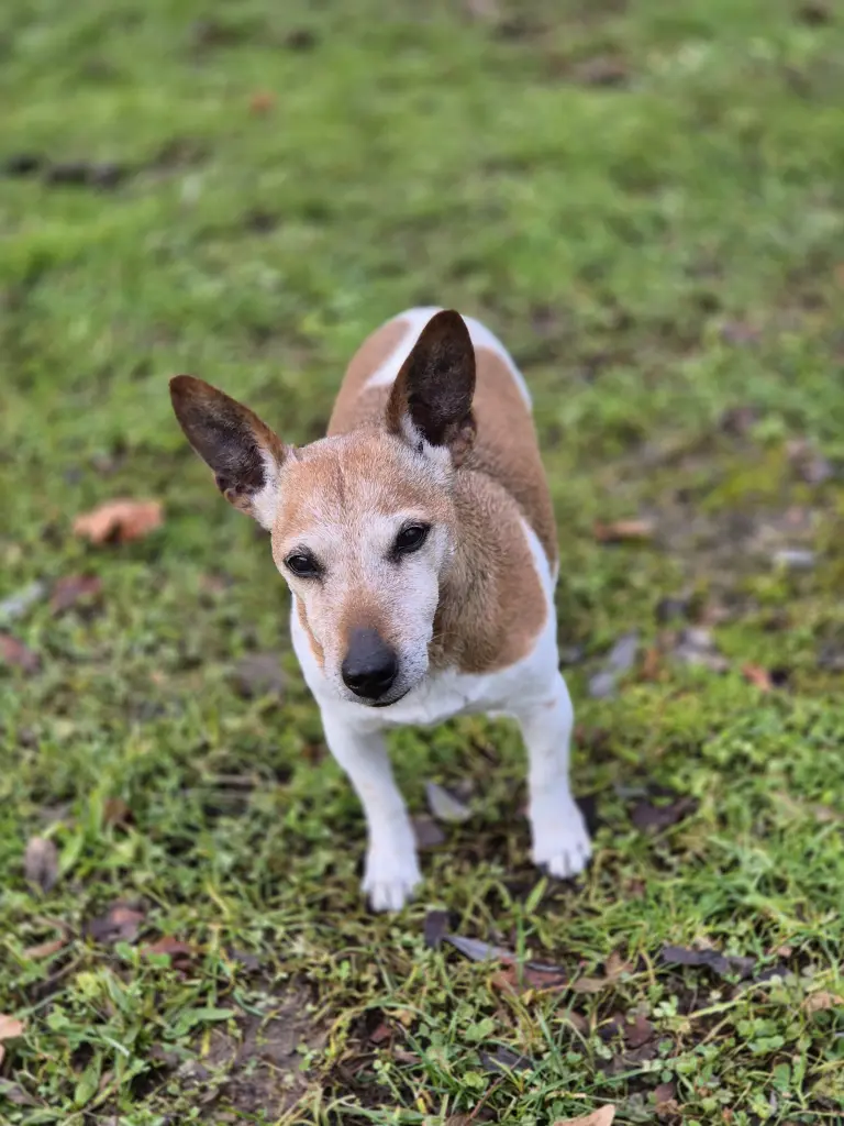 Bild von Shiela