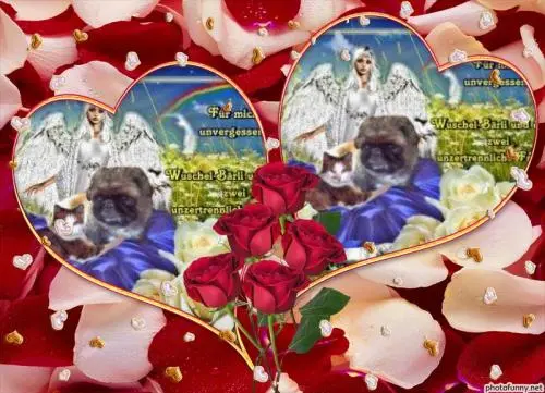 Image from BÄRCHEN UND SHEILA MEINE ZWEI UNZERTRENNLICHE