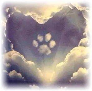 Condolence image of Tatjana mit Balu ❤️