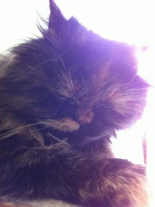 Image from Cherrie <3