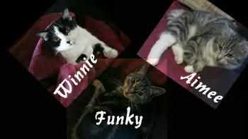 Image from Winnie <3 <3