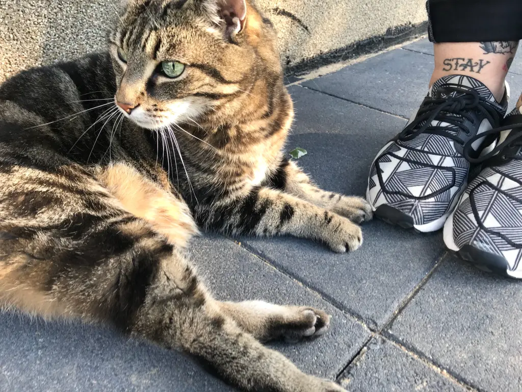 Condolence image of Danny 