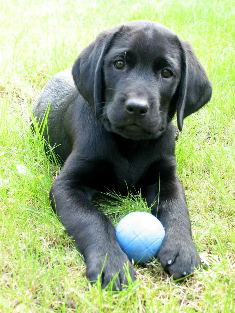 Condolence image of Heidi & Henry
