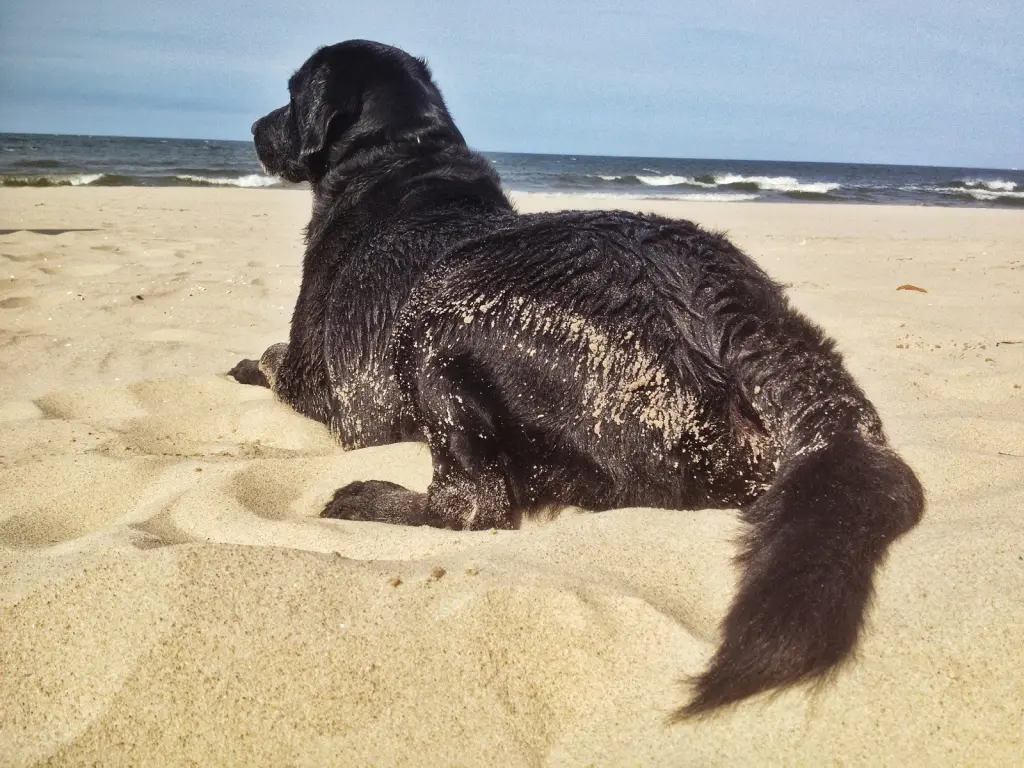 Condolence image of Heidi & Henry Wühst