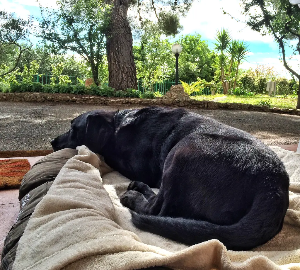 Condolence image of Heidi und Henry