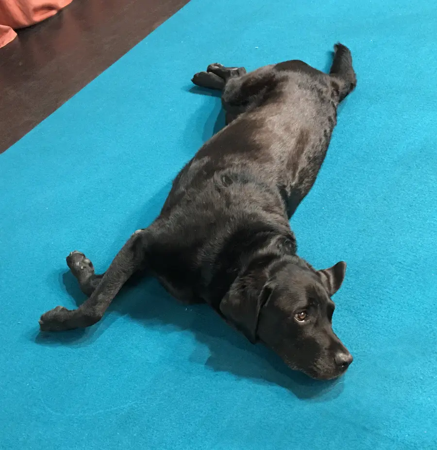 Condolence image of Henry