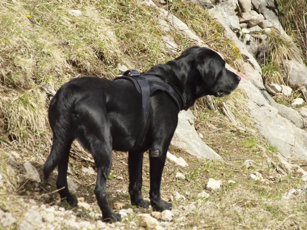 Condolence image of Unbekannt