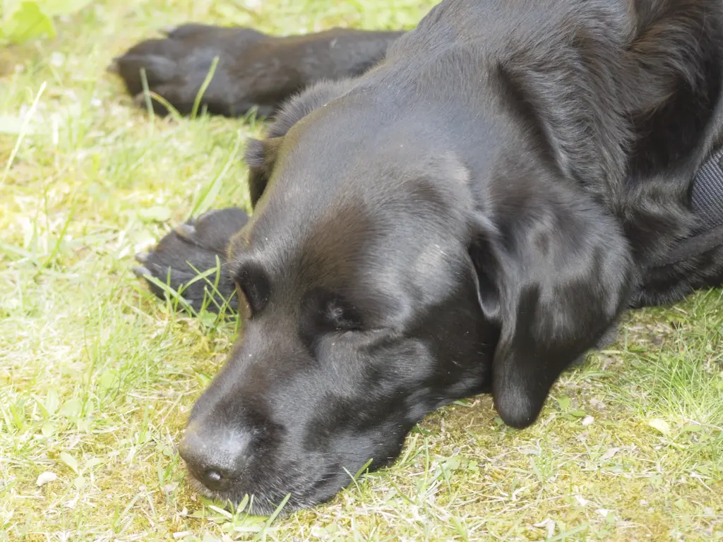 Condolence image of H&H