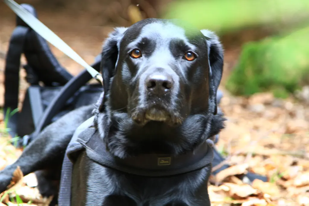 Condolence image of H&H