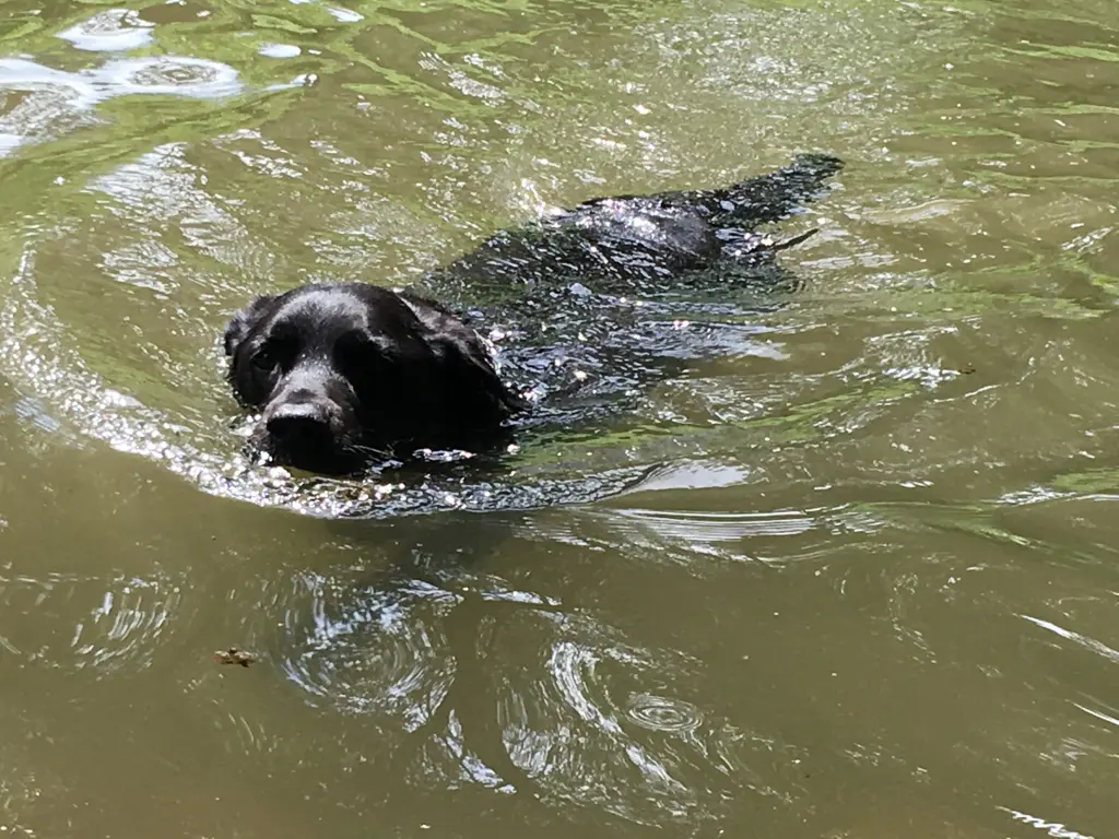 Condolence image of Unbekannt