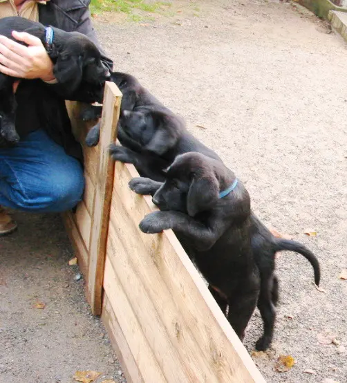 Condolence image of H&H