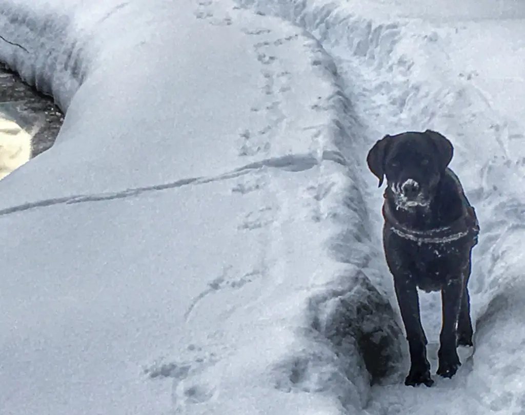 Condolence image of H&H