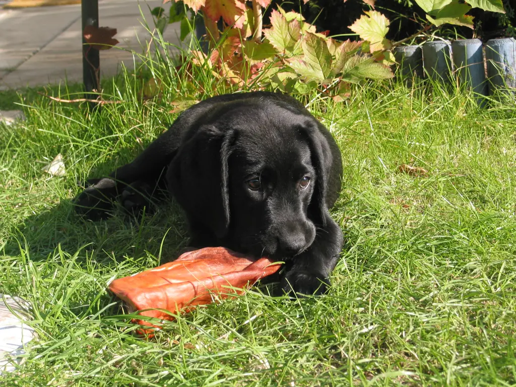 Condolence image of H&H