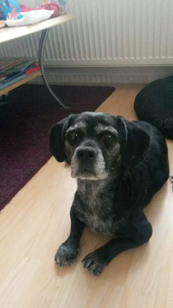 Condolence image of Melanie 