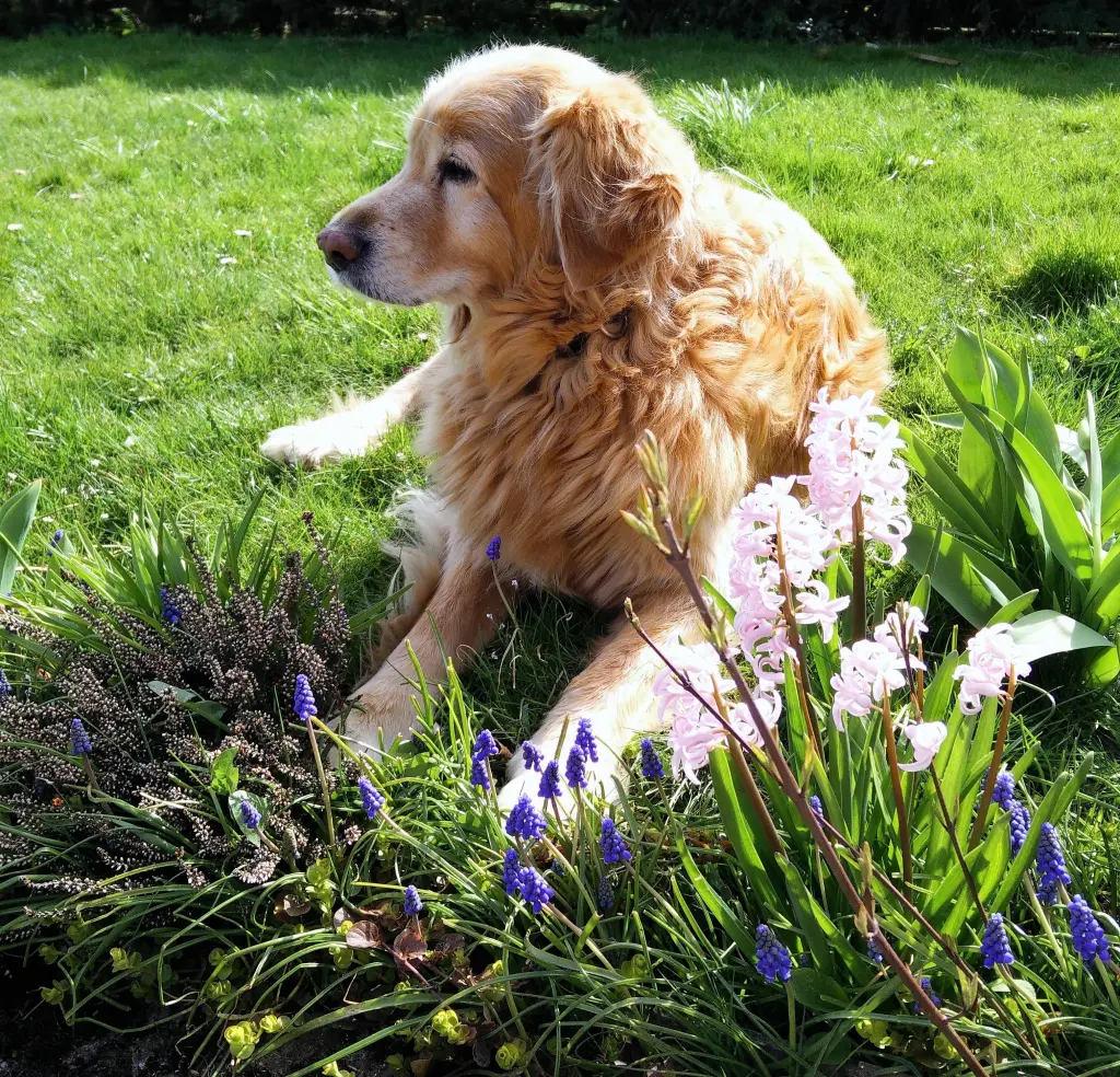 Condolence image of Michael mit ALESCA