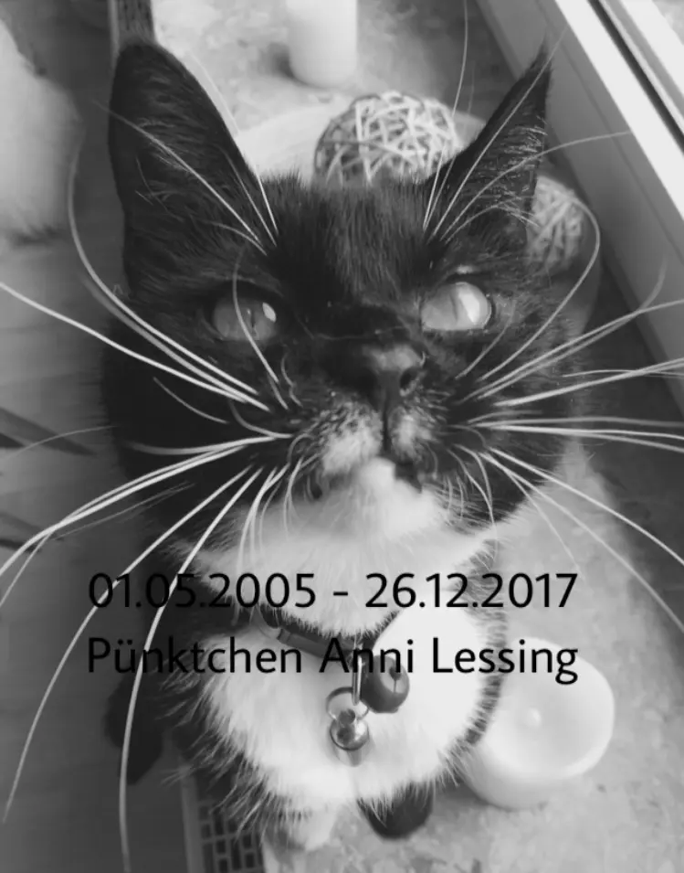 Image from Pünktchen