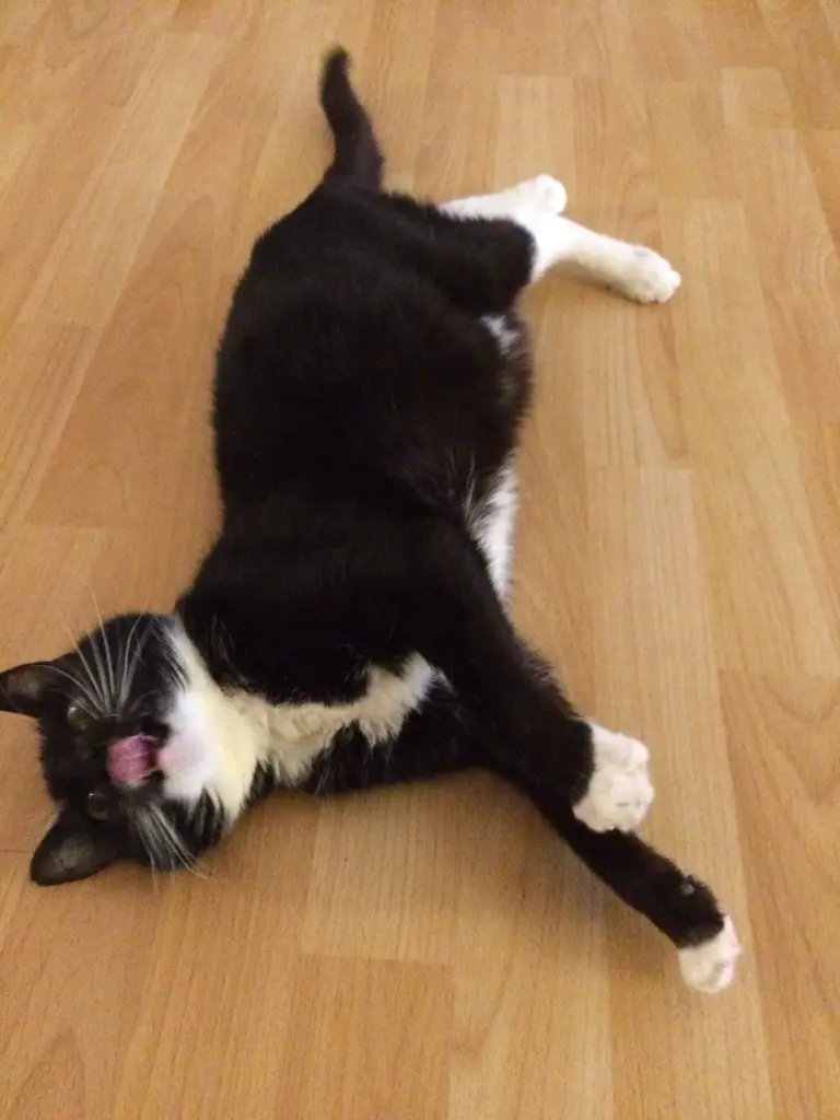 Image from Pünktchen