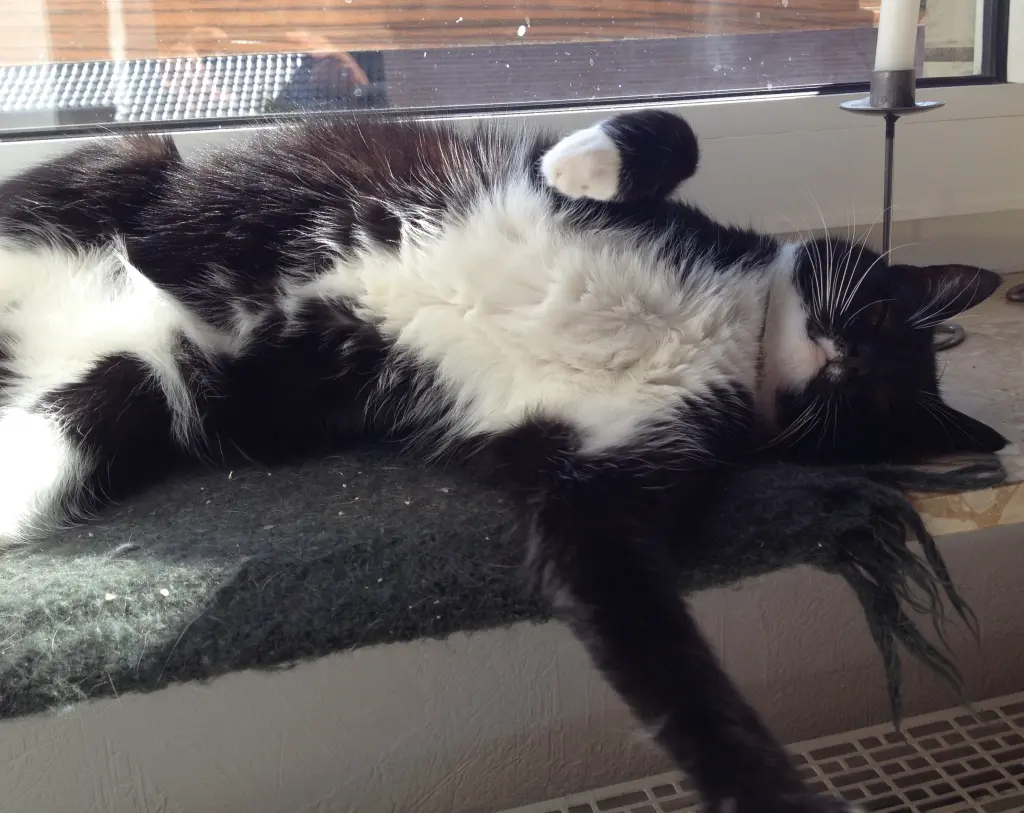 Image from Pünktchen