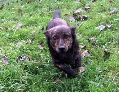 Andachtsbild von Unbekannt