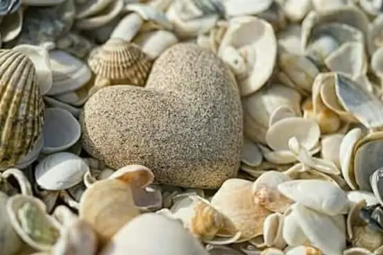 Condolence image of Birgit 