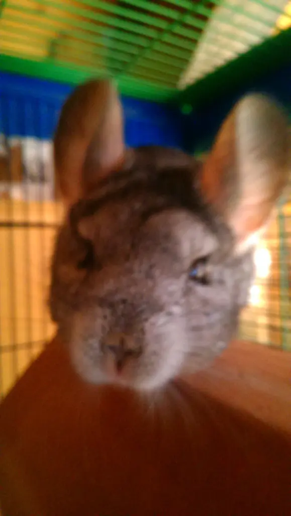 Andachtsbild von Deiner Mama