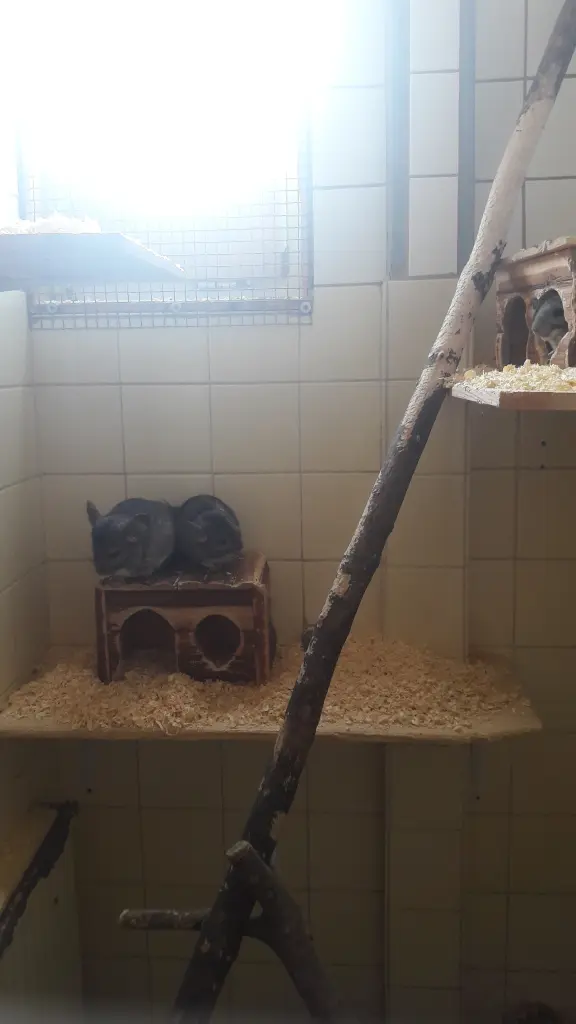 Andachtsbild von Deiner Mama
