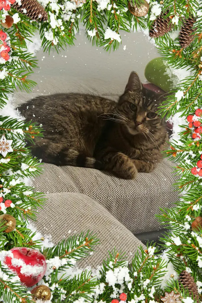 Condolence image of Linda mit Pünktchen im Herzen