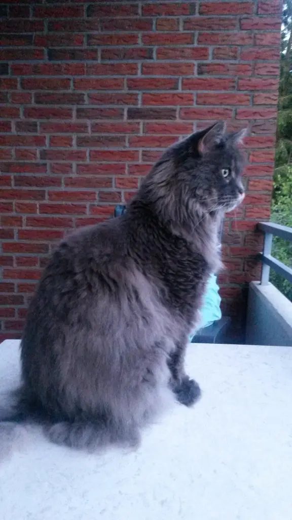 Condolence image of Ruth