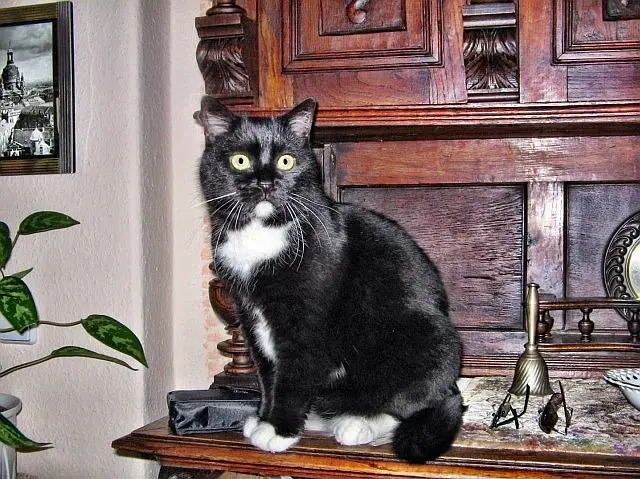 Condolence image of Roberto