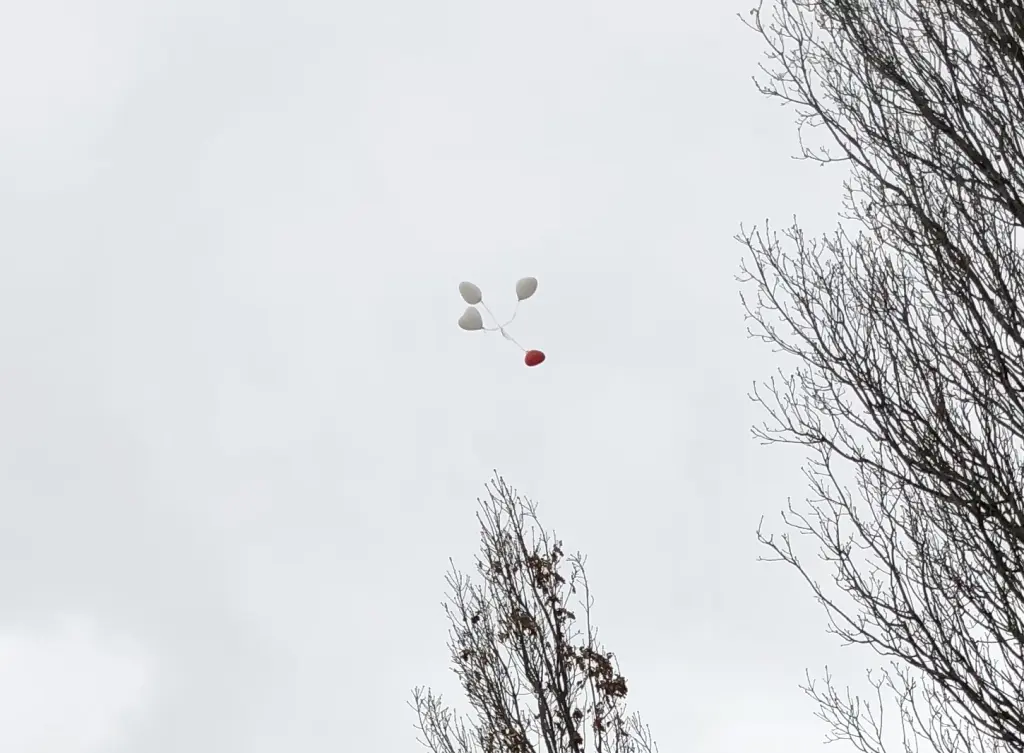 Condolence image of Silvia