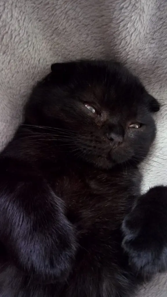 Condolence image of Roberto