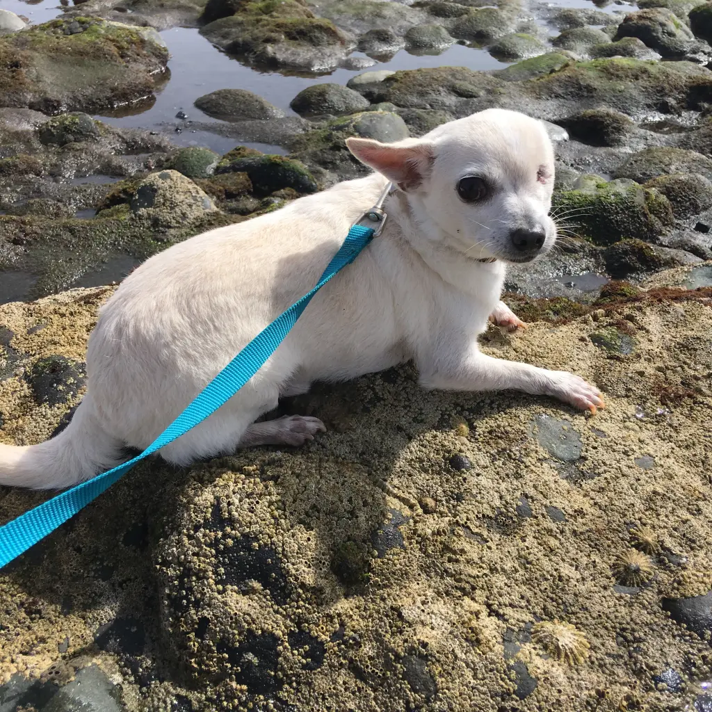 Condolence image of Lydia