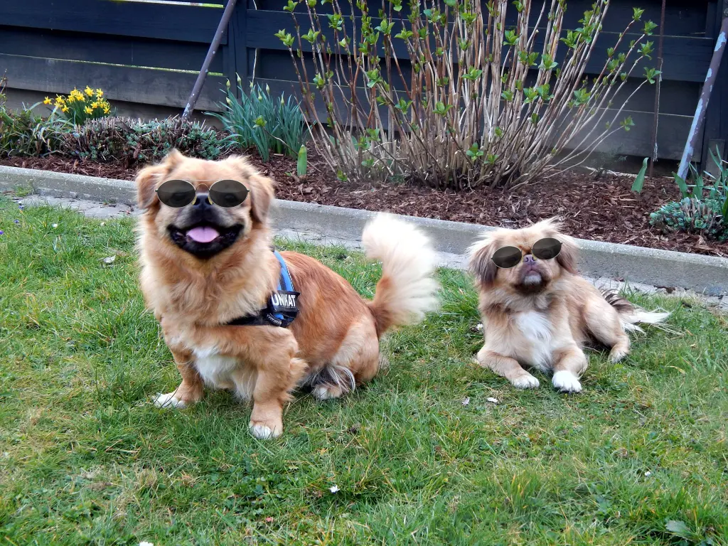 Condolence image of Unbekannt