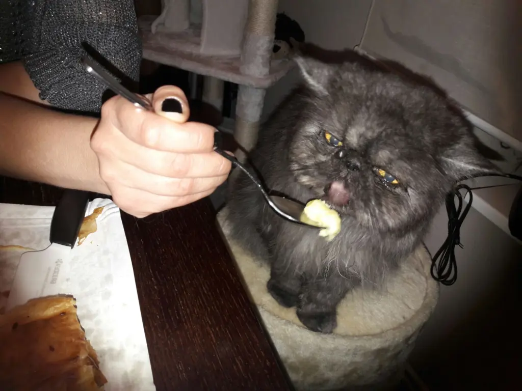 Condolence image of Nancy