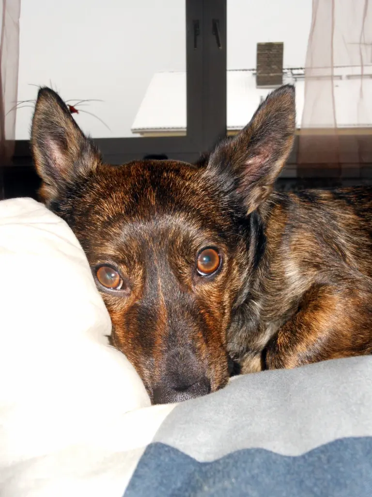 Condolence image of Unbekannt