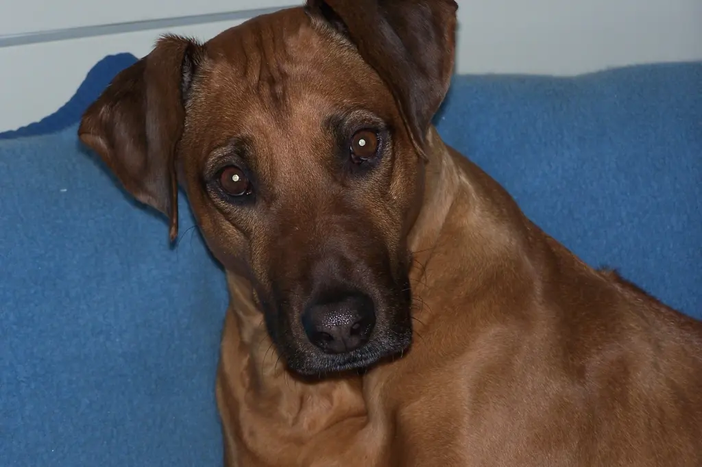 Condolence image of Hans-Jürgen