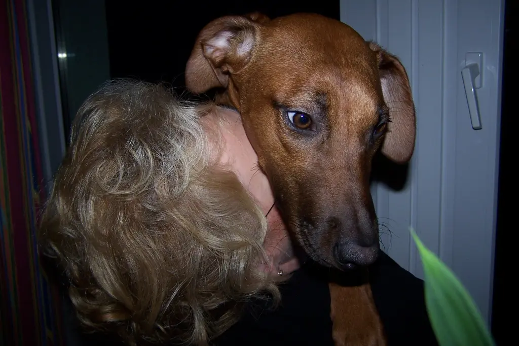 Condolence image of Hans-Jürgen