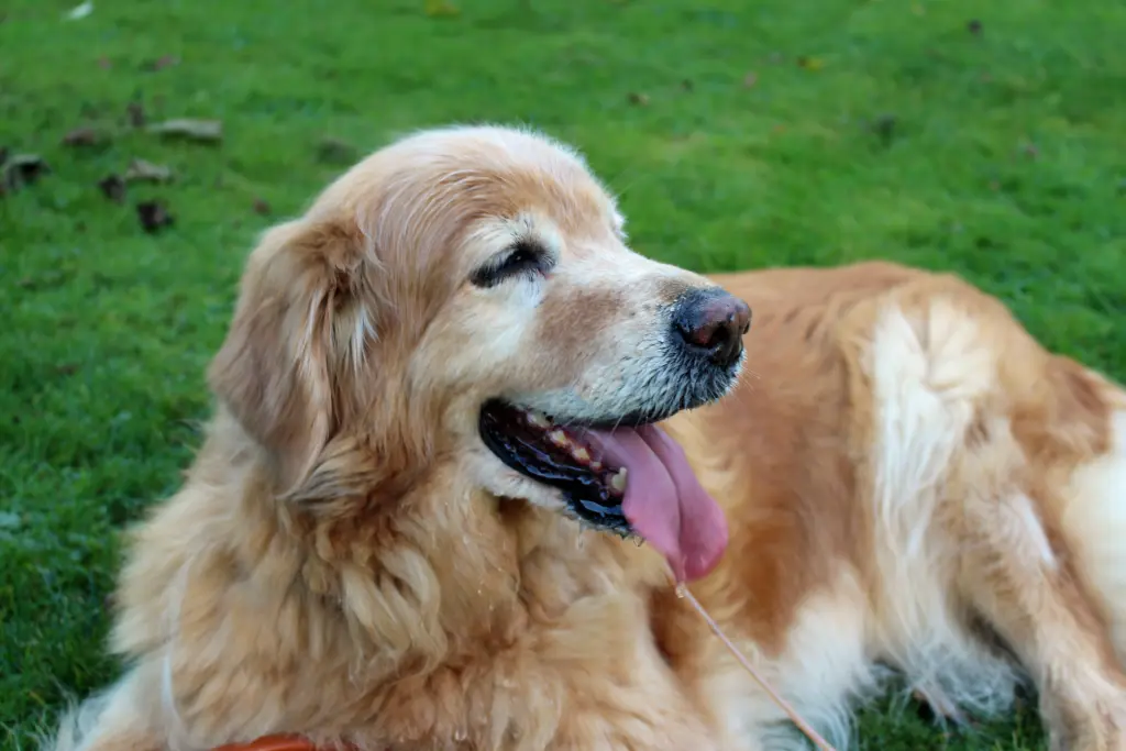 Condolence image of Michael mit ALESCA