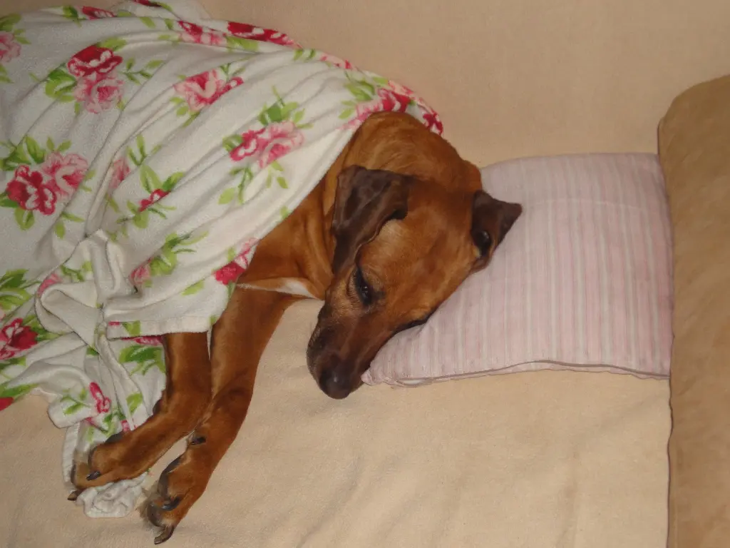 Condolence image of Hans-Jürgen