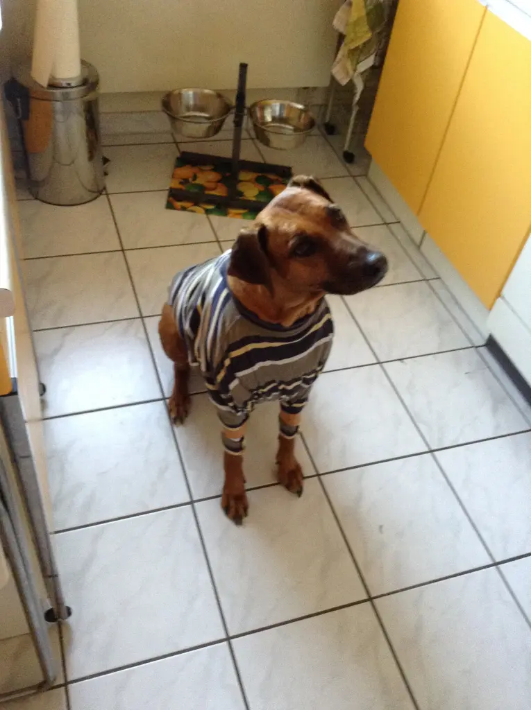 Condolence image of Hans-Jürgen