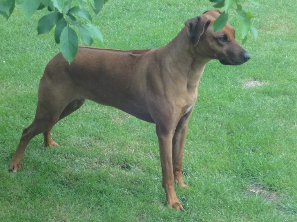 Condolence image of Hans-Jürgen