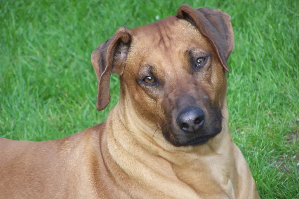 Condolence image of Hans-Jürgen