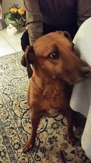 Condolence image of Hans-Jürgen