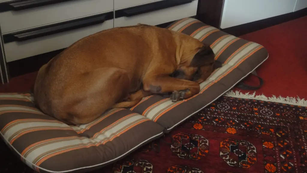 Condolence image of Hans-Jürgen