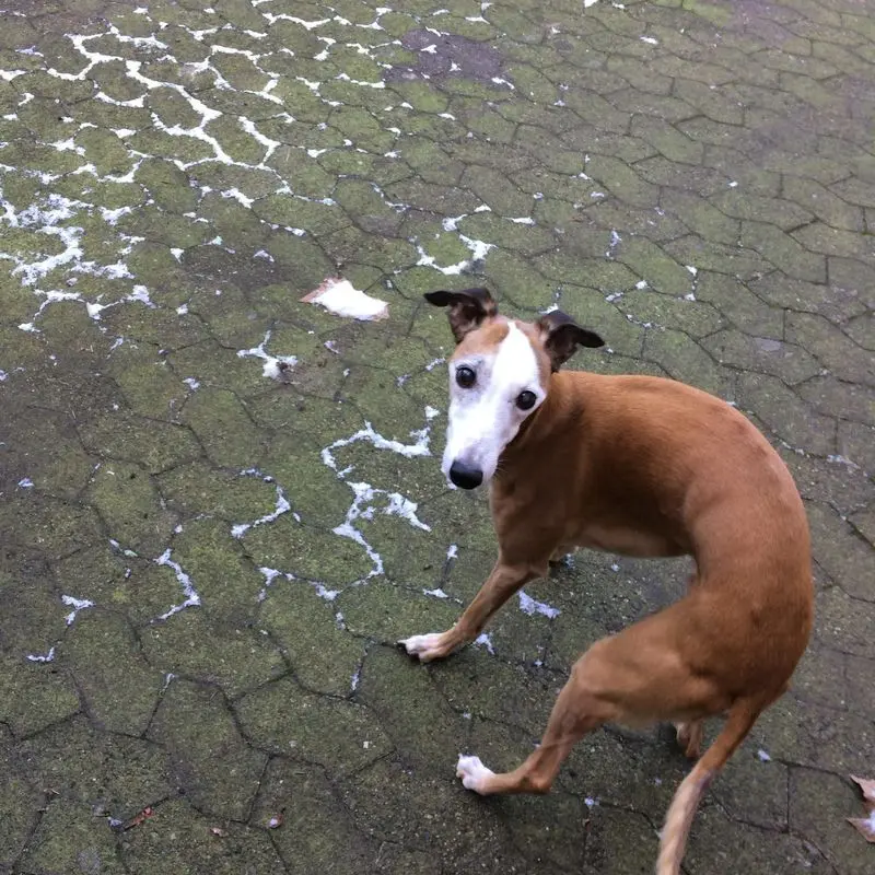 Condolence image of Unbekannt