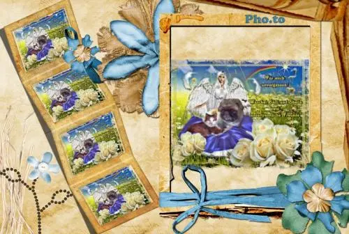 Image from meine zwei lieben bärchen und prinzesin sheila