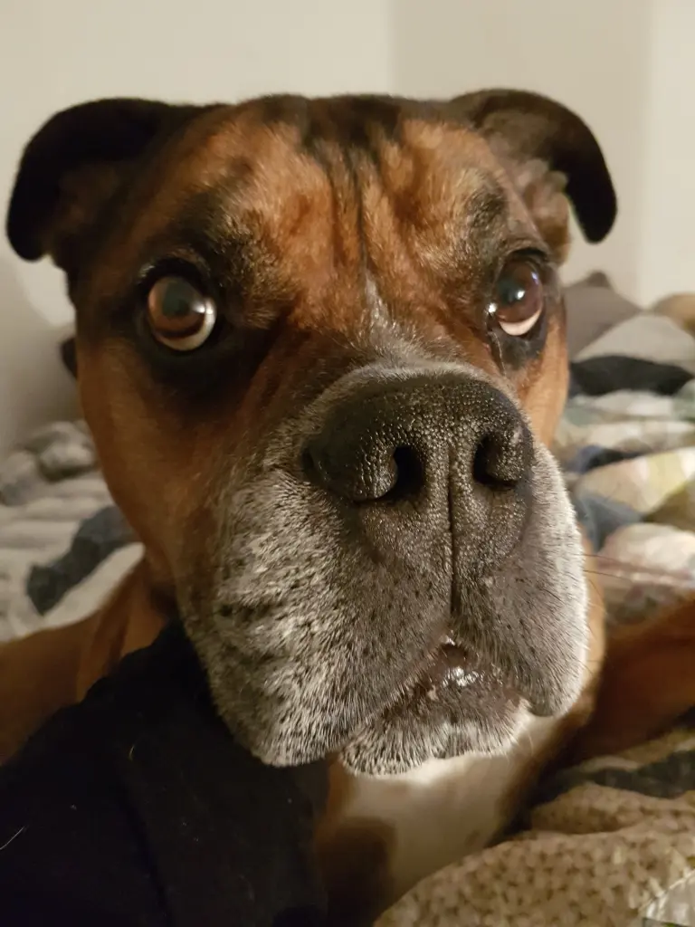 Condolence image of Alexandra