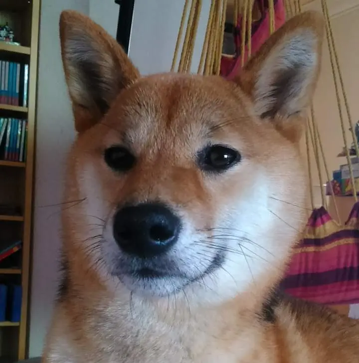 Condolence image of Unbekannt