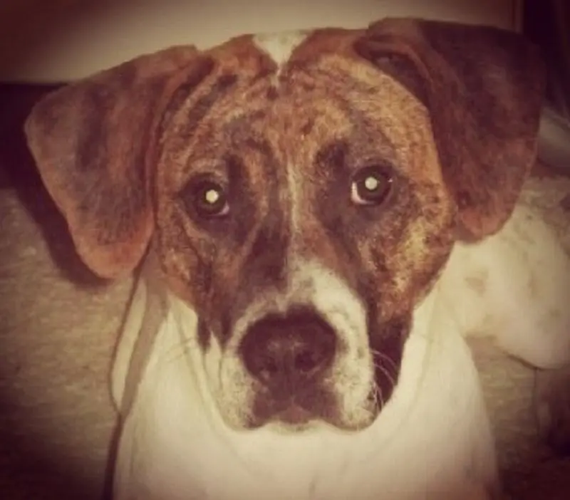 Condolence image of Guido